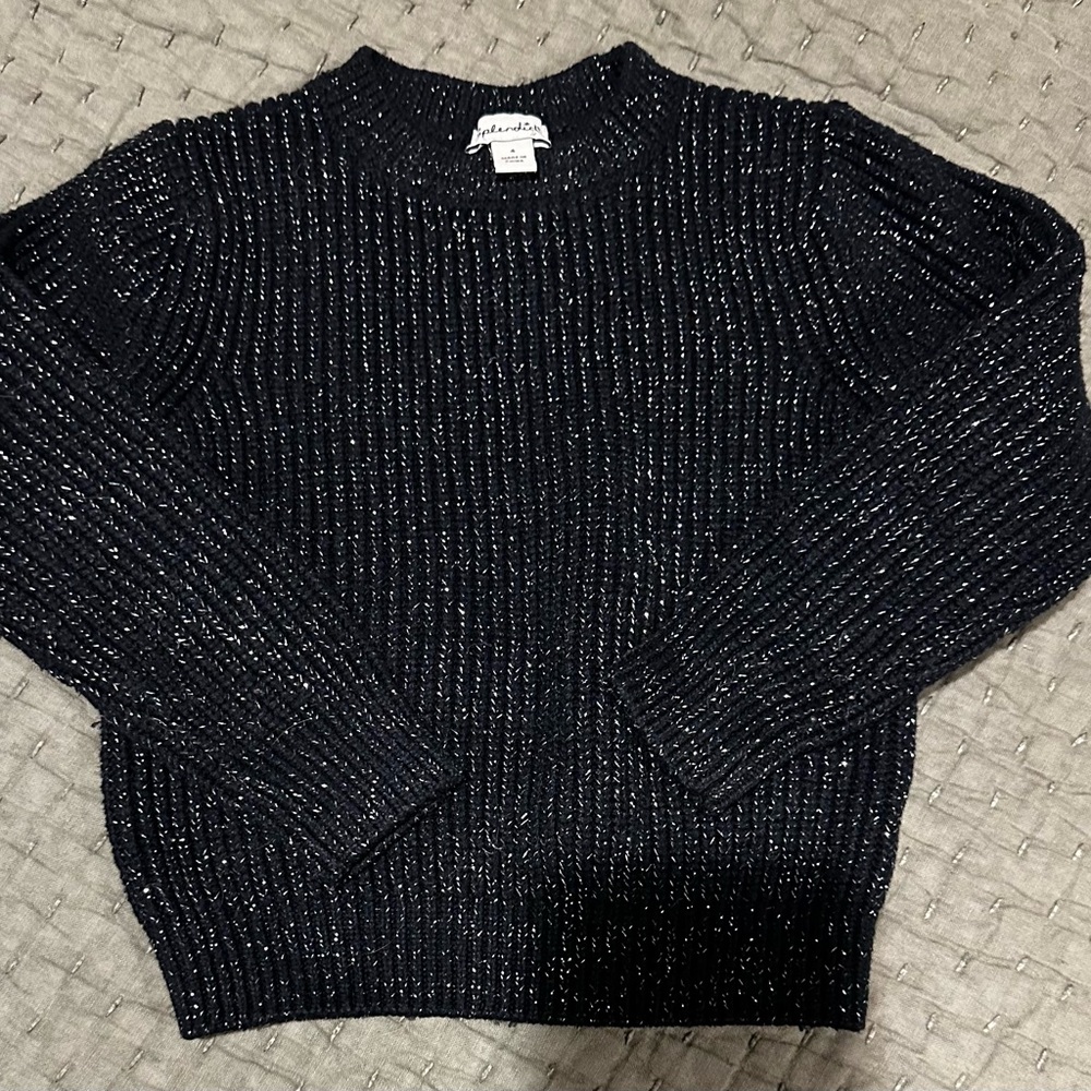 Splendid Blue and Silver Sweater with Metallic Accents